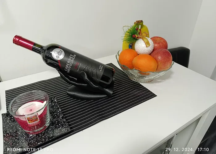 Garfield Family 2 Soko Banja